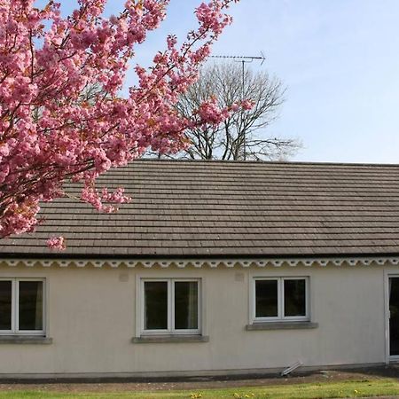Sunny Bungalow Courtown Kültér fotó