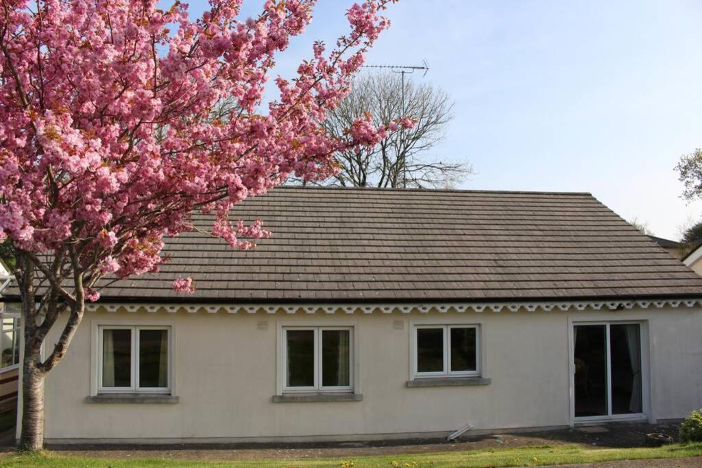 Sunny Bungalow Courtown Kültér fotó