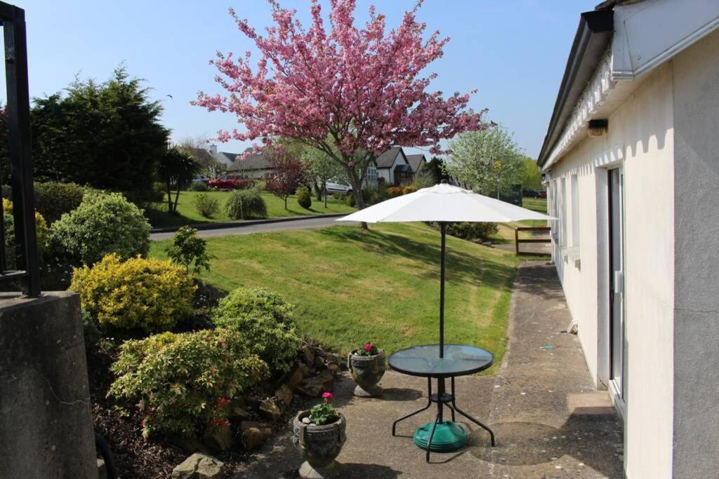 Sunny Bungalow Courtown Kültér fotó