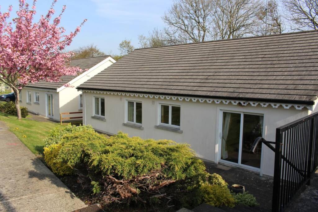 Sunny Bungalow Courtown Kültér fotó